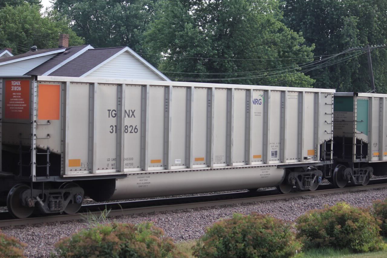 TGNX 31826