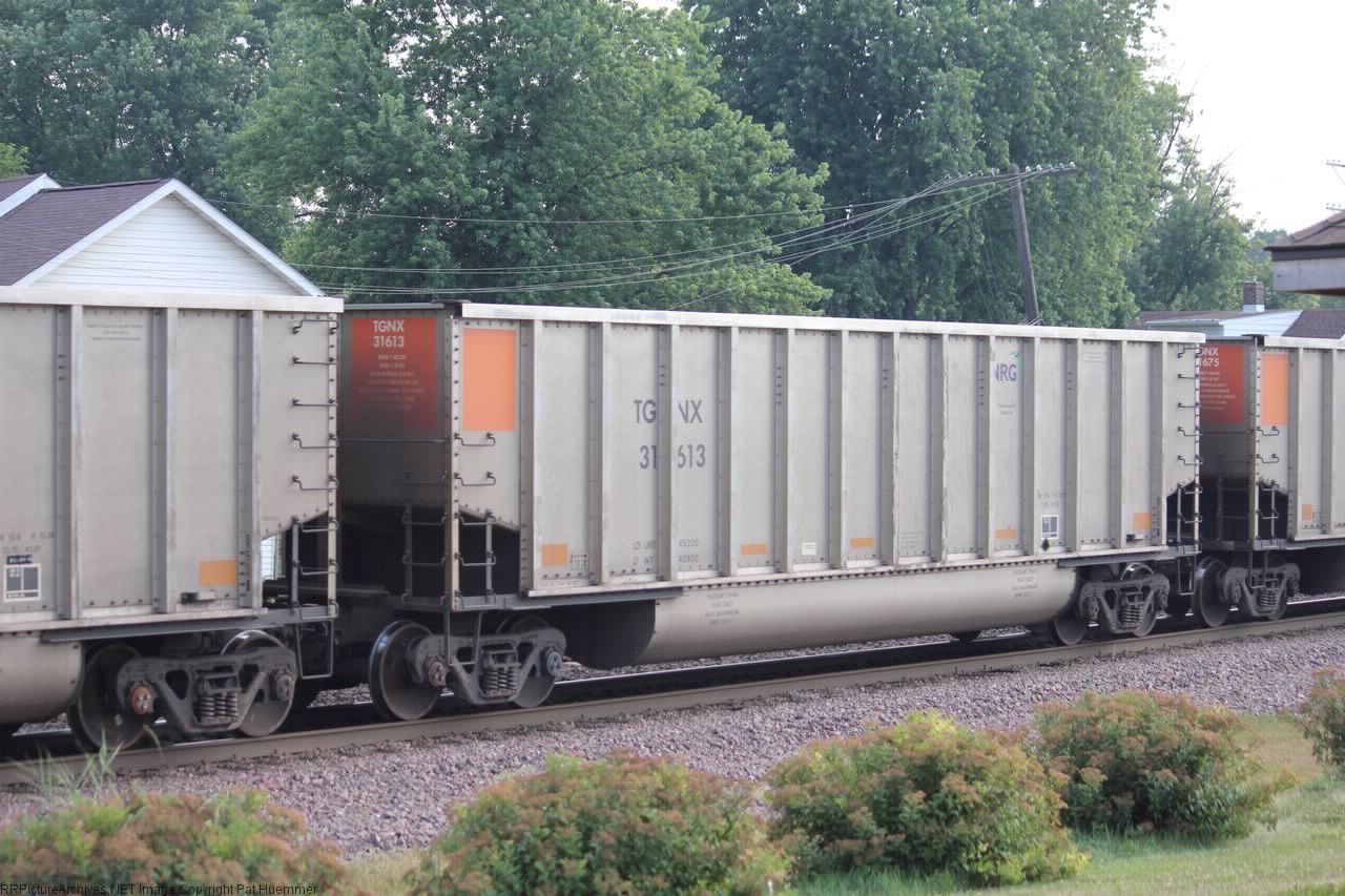 TGNX 31613