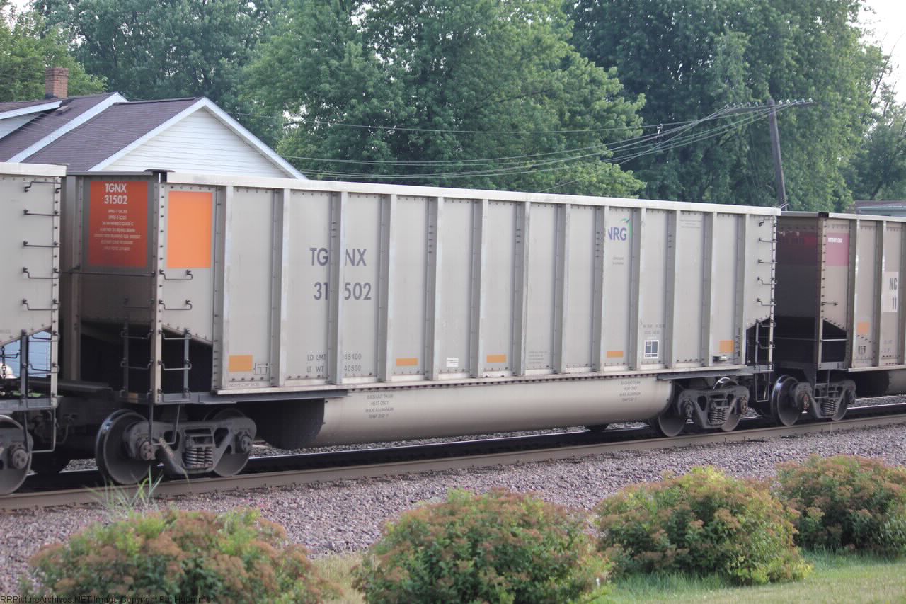 TGNX 31502