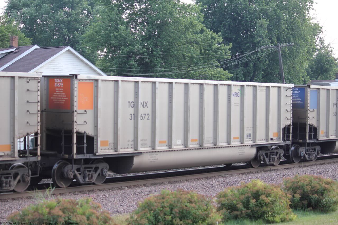 TGNX 31672