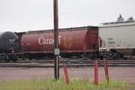 CN 110649