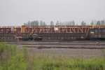 BN 559382