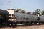 BNGX 20095