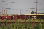 CR 497906