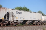 NS 255568