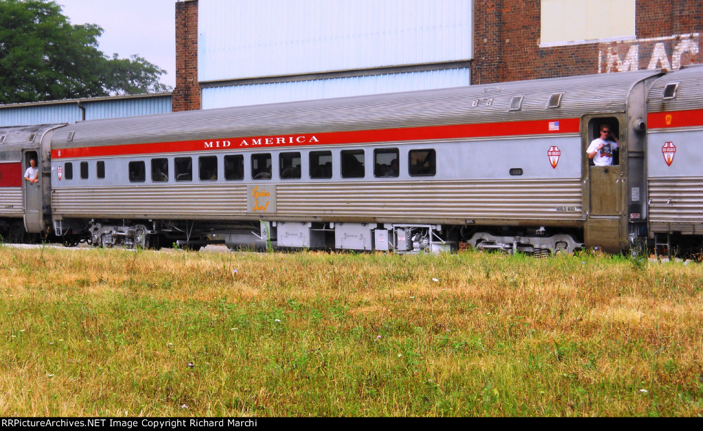 MRLX 4013 "Golden Surf"