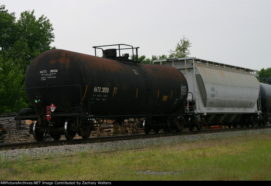 NATX 38558