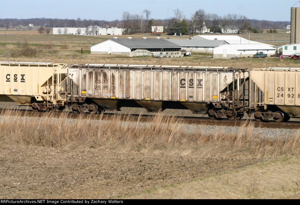 CSX 259531