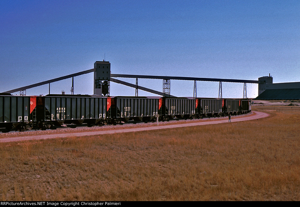 ARRX 1026 and ARRX 1027