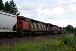CN 2406