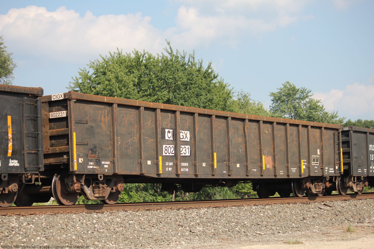CIGX 802231