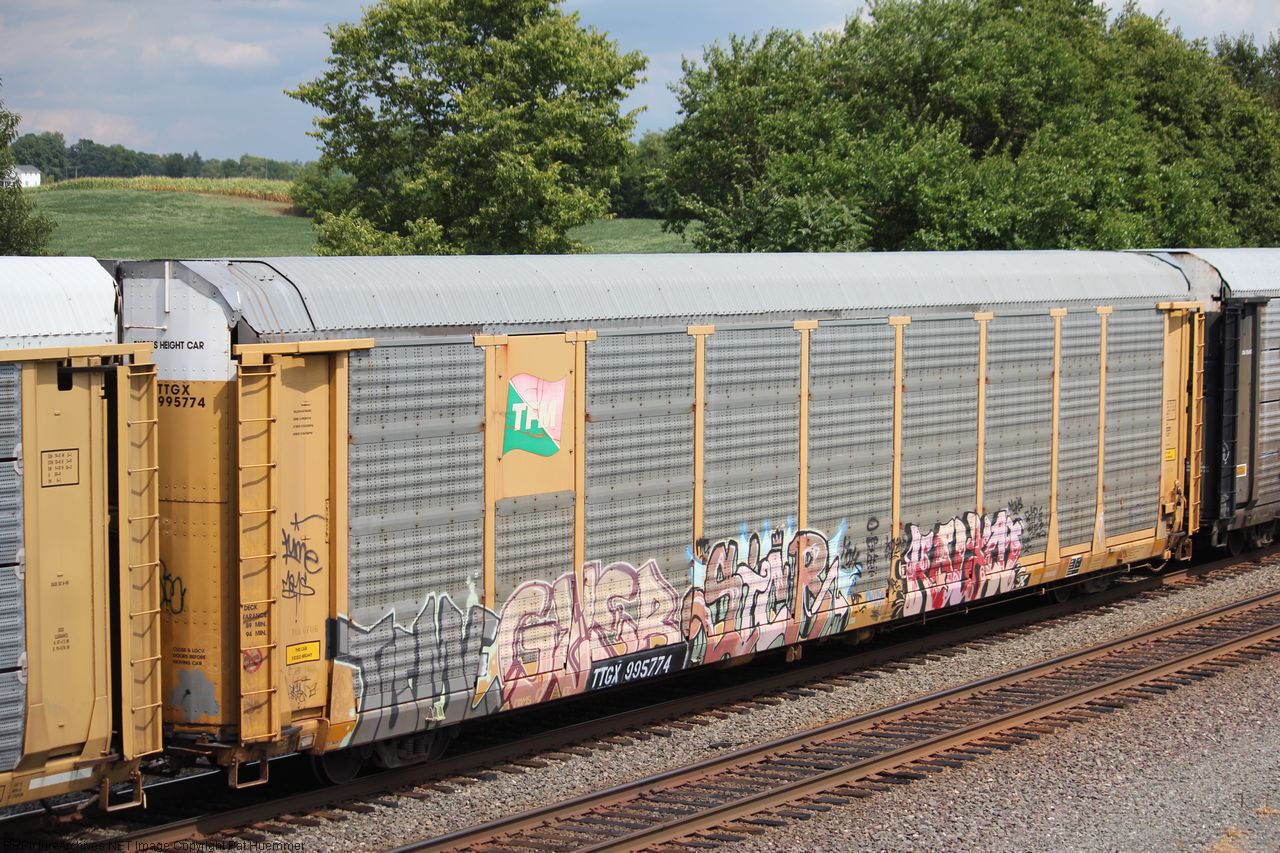 TTGX 995774