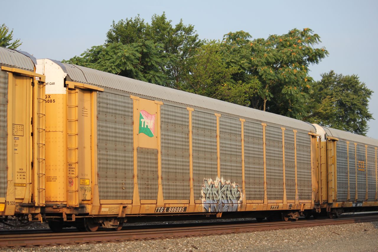 TTGX 986085