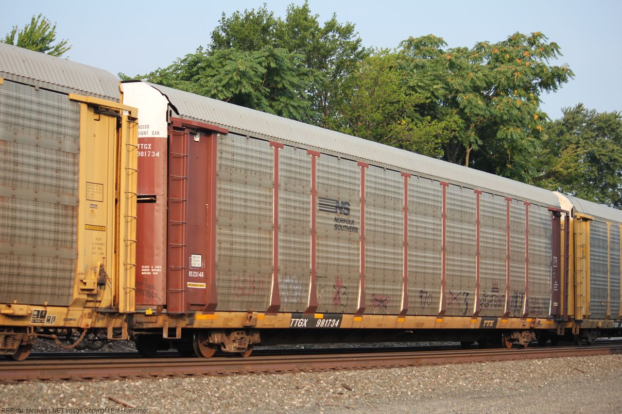 TTGX 981734