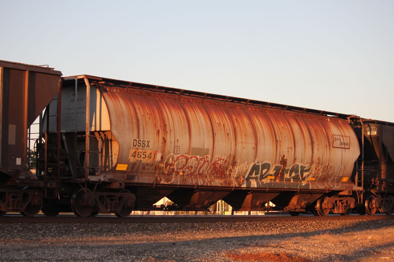 DSSX 46541