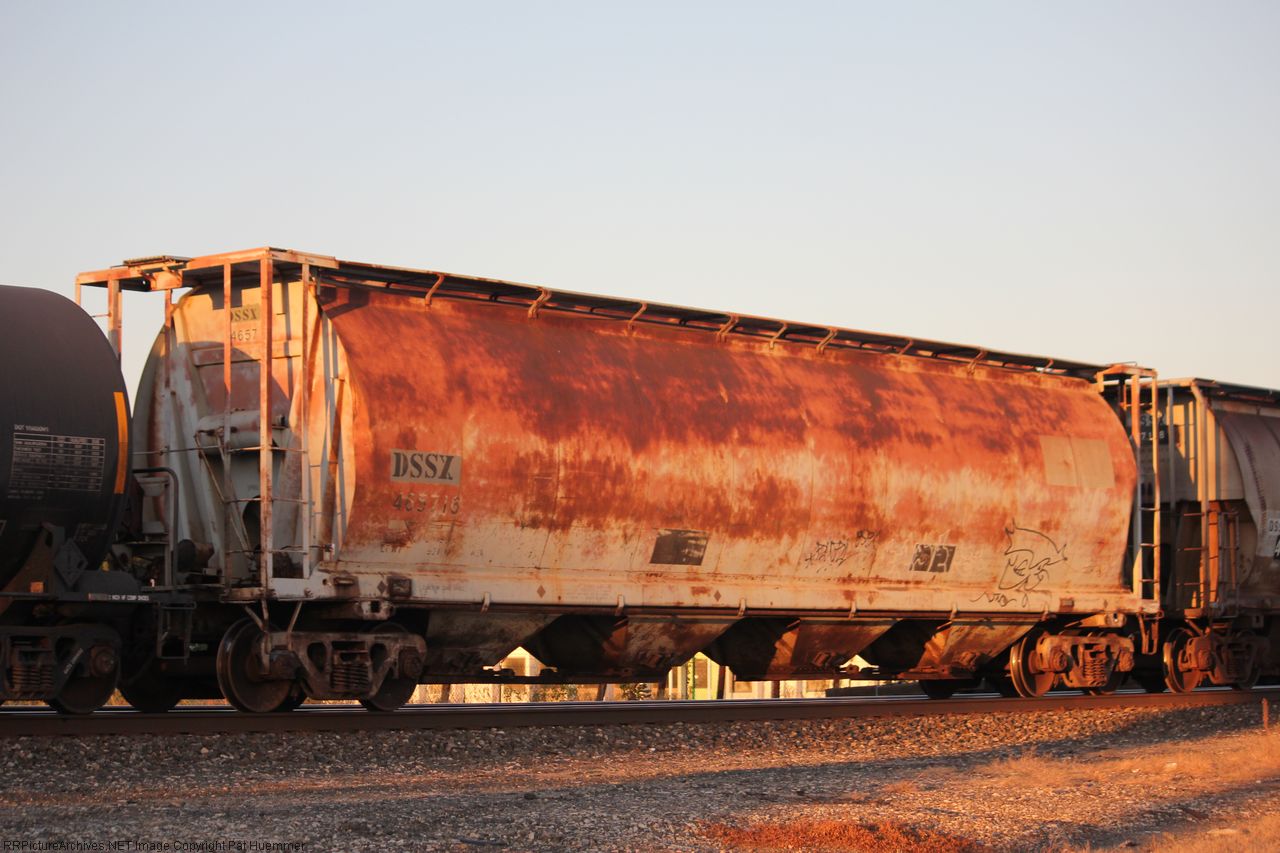 DSSX 465716