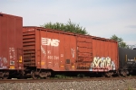 NS 406294