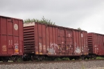 BNSF 721562