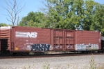 NS 487204