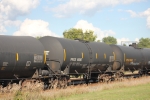 PRGX 10367