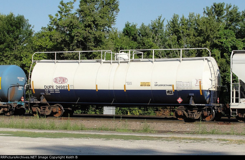 DUPX 24982