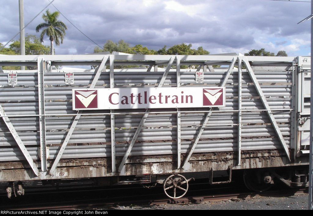 Cattle Train