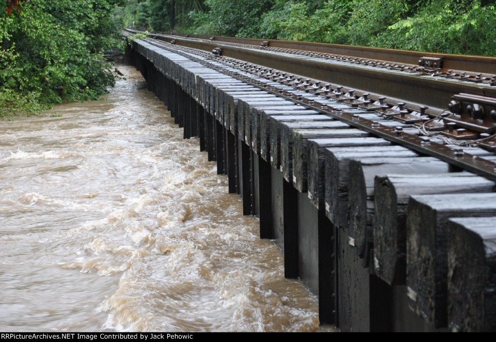 SVRR Bridge crossing Shamokin Creek