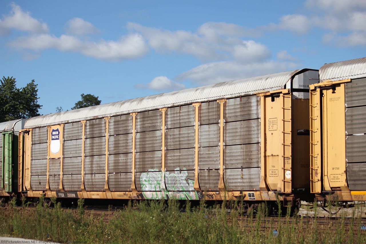 TTGX 255918