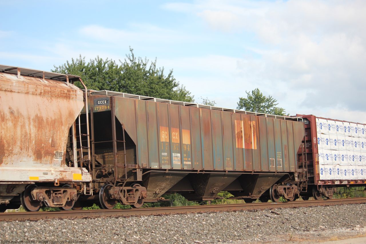 GCCX 173794