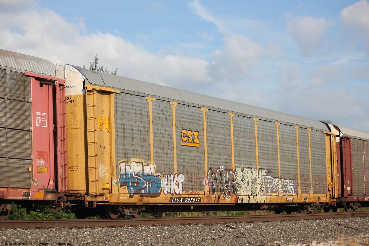 TTGX 987917