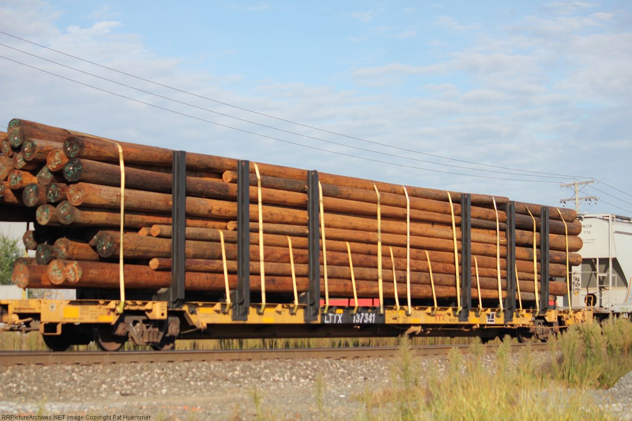 LTTX 137341