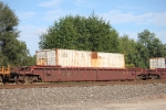 CP 523177