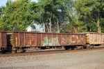 CN 135232