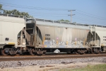 CRDX 20008