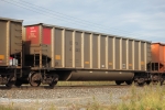 CEFX 41445