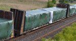 BCOL 864018