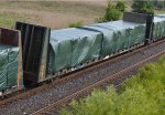 BCOL 11247