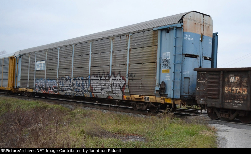 TTGX 975655