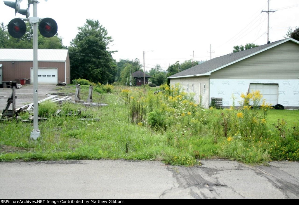 Summer view-Looking South