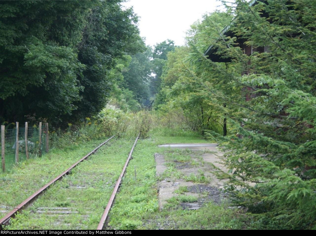 Platform view from Greene