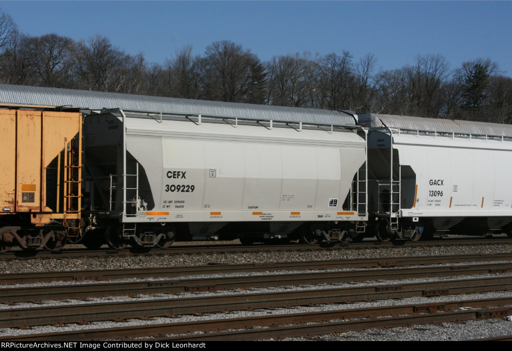 CEFX 309229