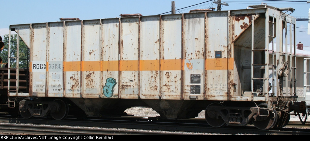 RGCX 36196