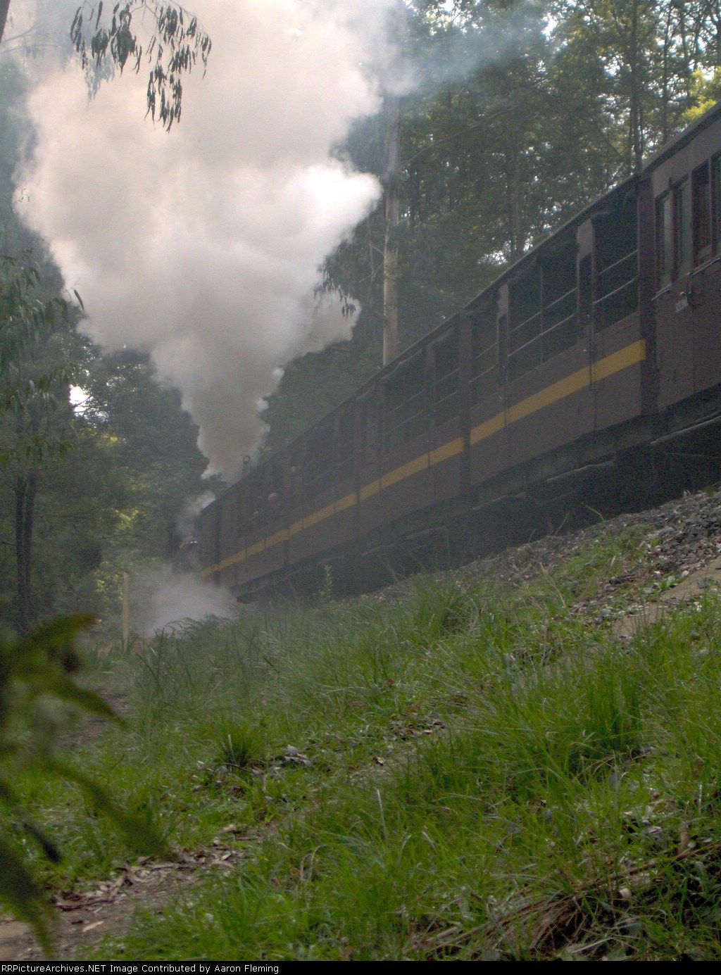 12 A on the up train from Cockatoo to Lakeside