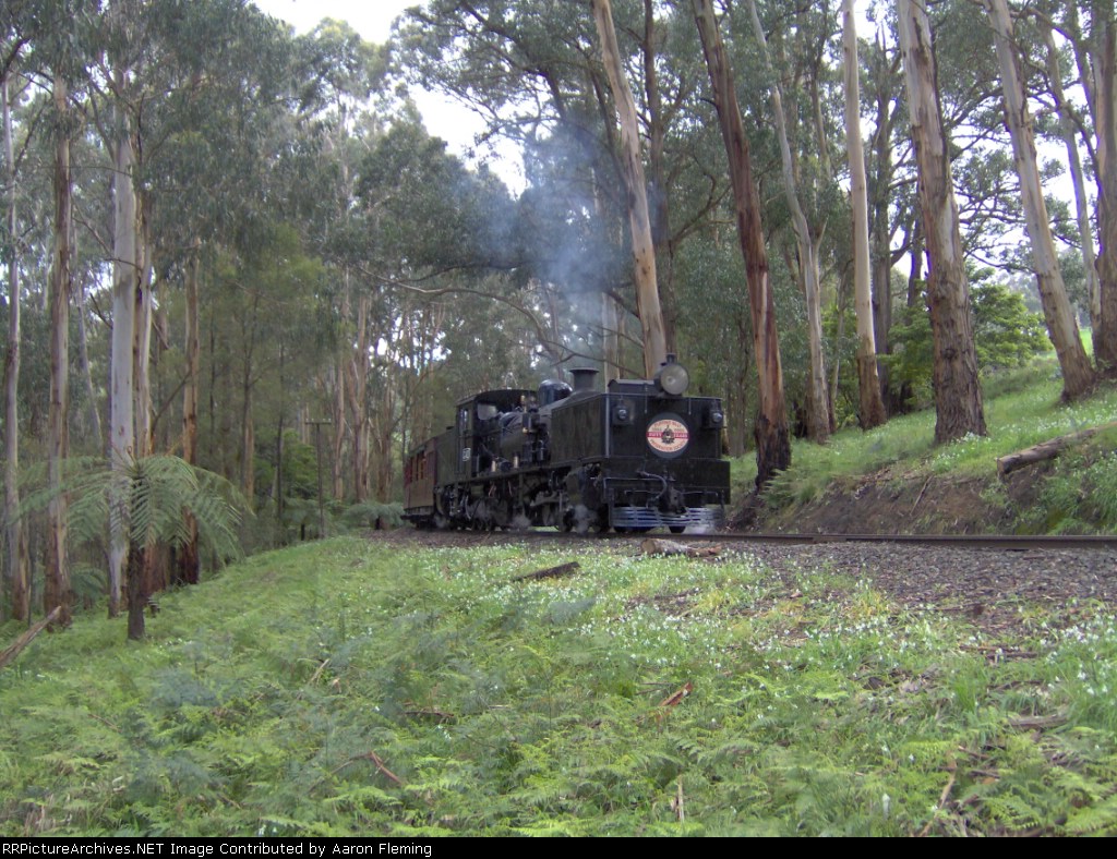 G 42 sweeping through the hills with the luncheon special