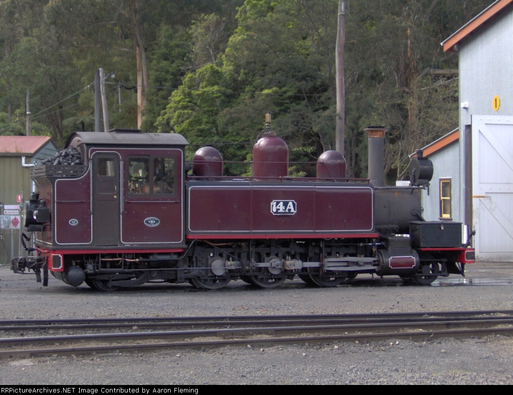 14A all coaled up and resting for the day