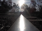 the afternoon sun catching the rails