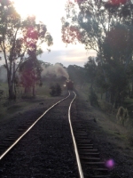 K 160 dissapearing off into the afternoon sun