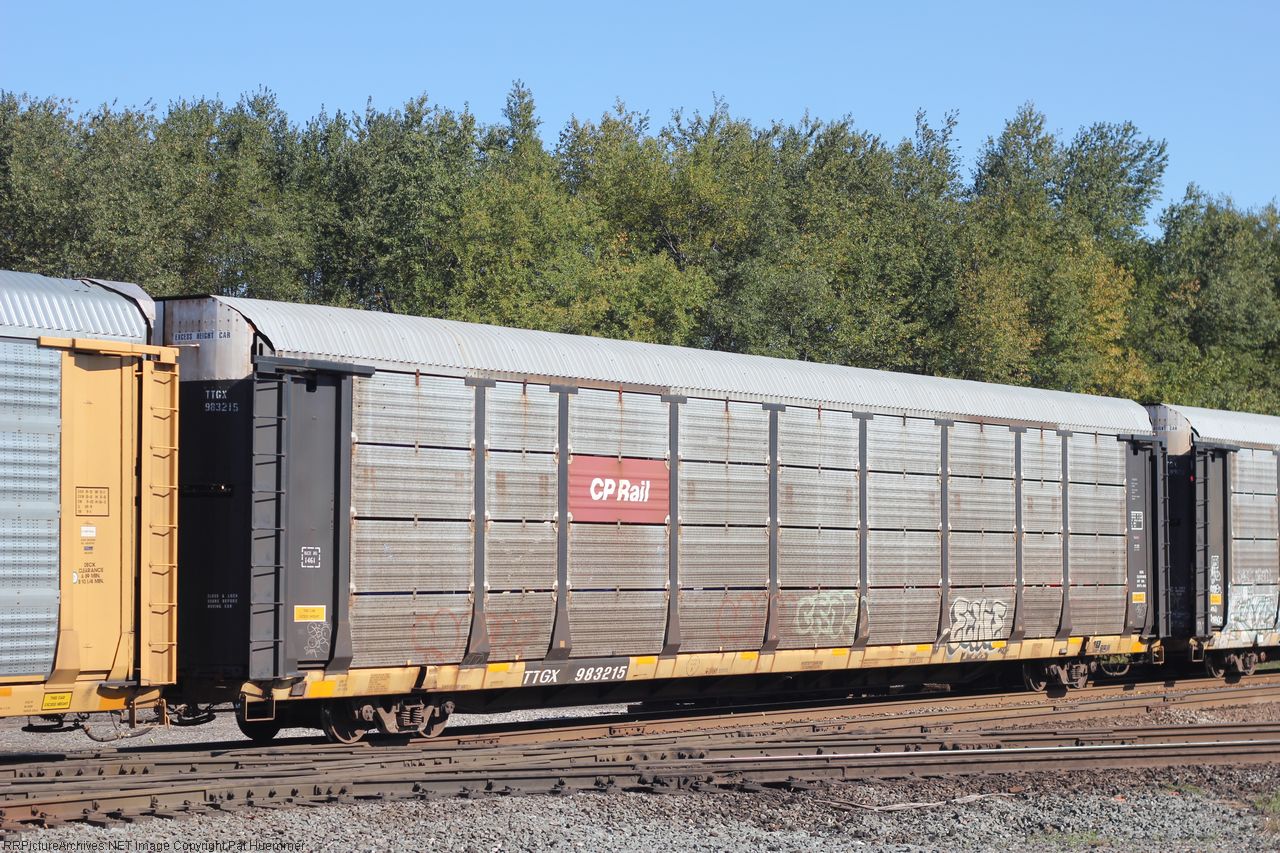 TTGX 983215