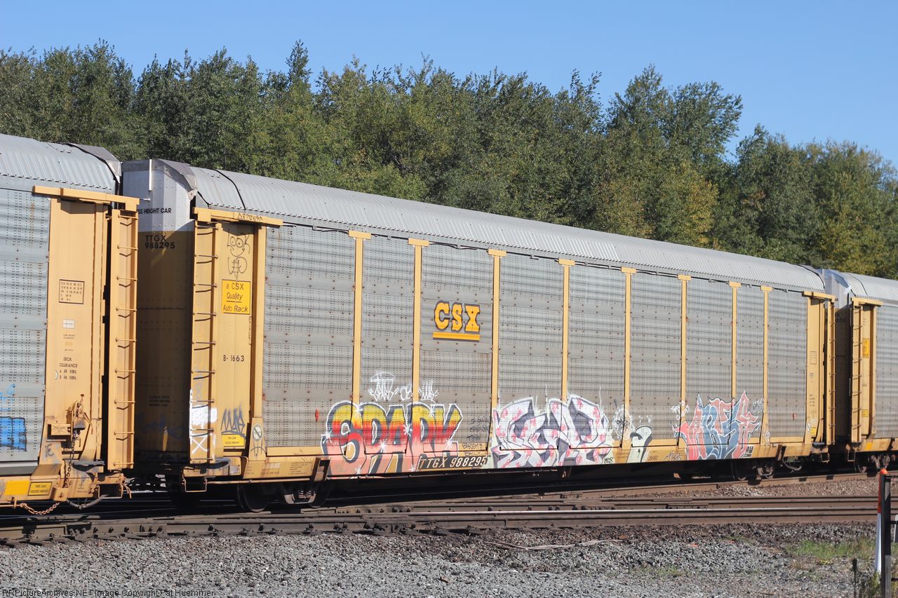 TTGX 988295