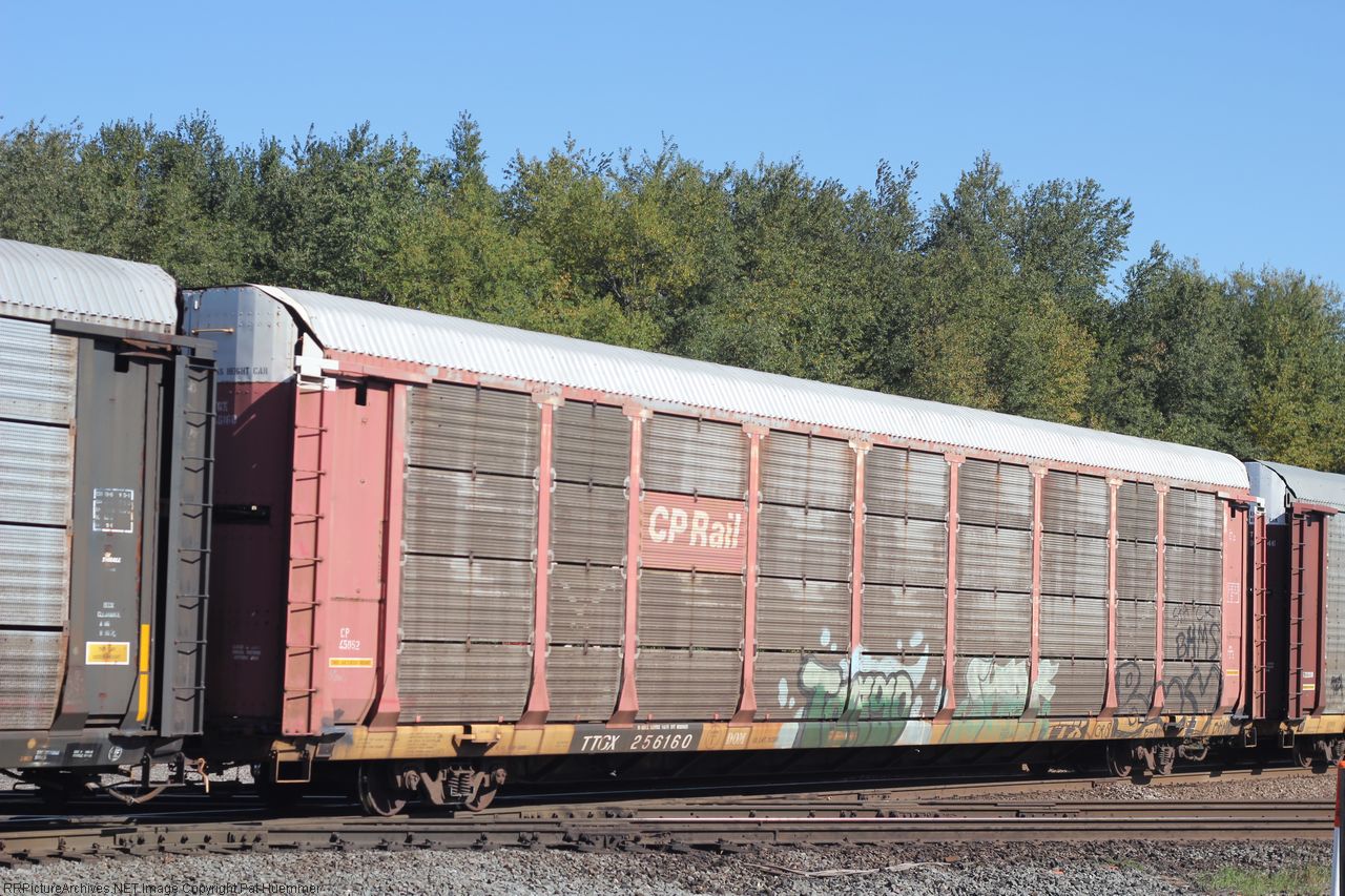 TTGX 256160